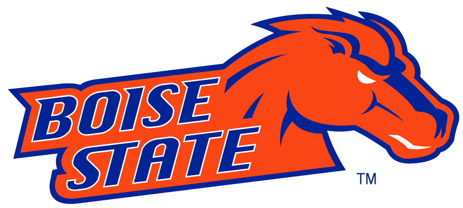 Boise State Broncos 2002-2012 Secondary Logo v25 iron on transfers for T-shirts